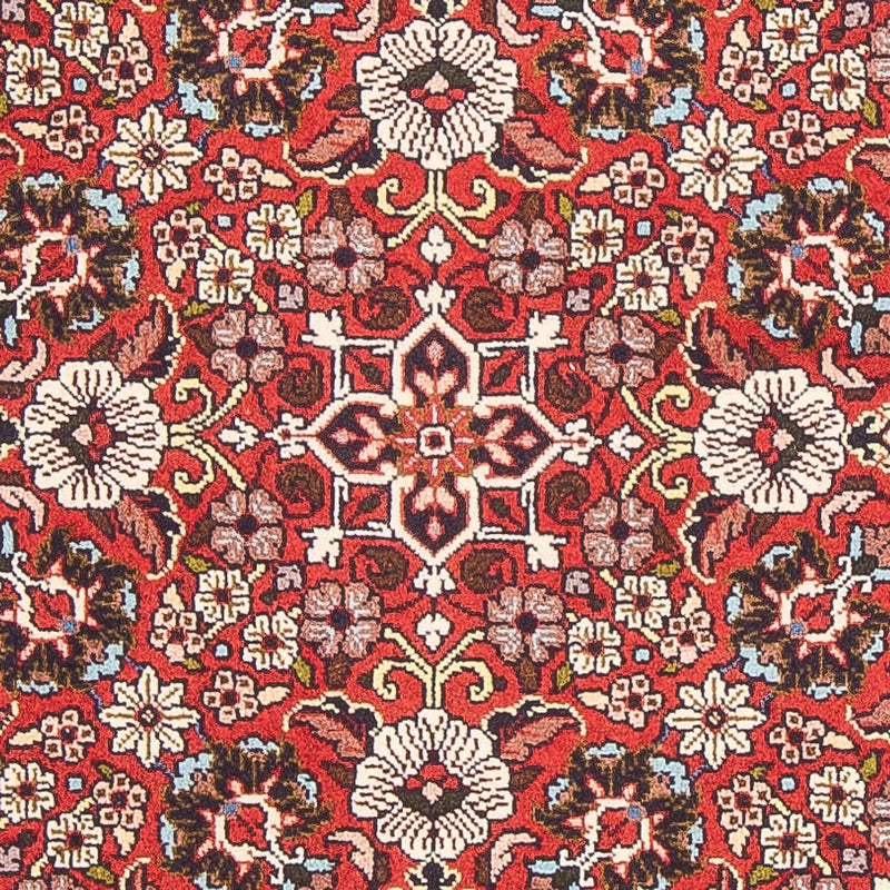 Bidjar - Bukan Tapete 82x143cm - Tapete persa - vermelho