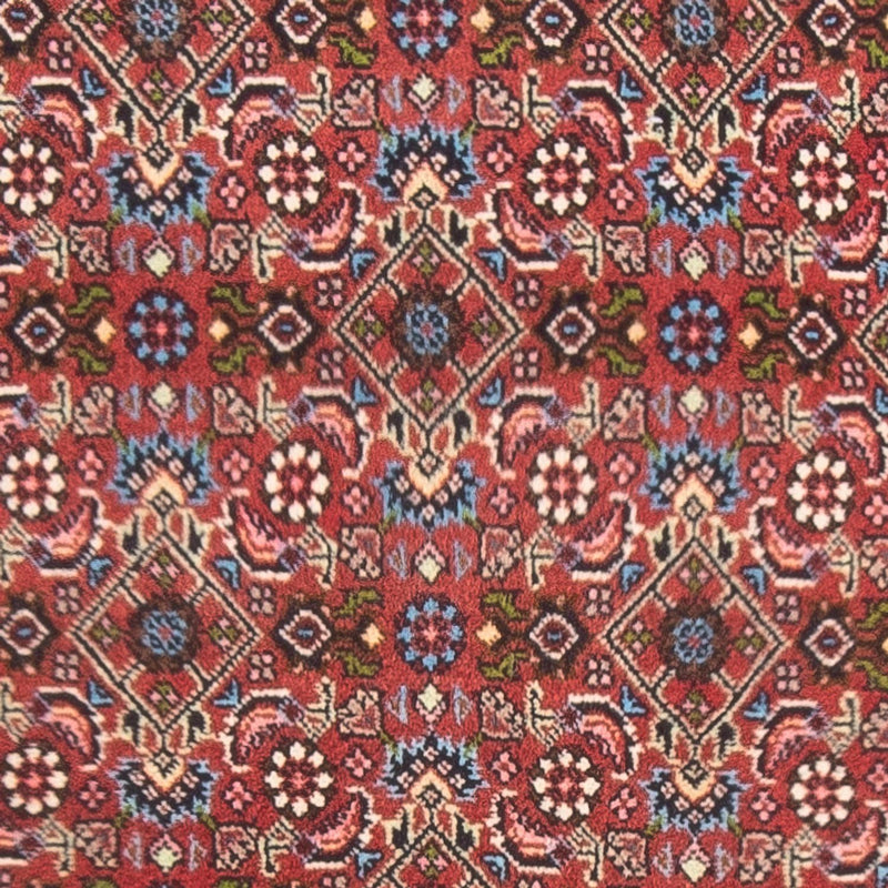 Bidjar - Bukan Tapete 81x143cm - Tapete persa - vermelho