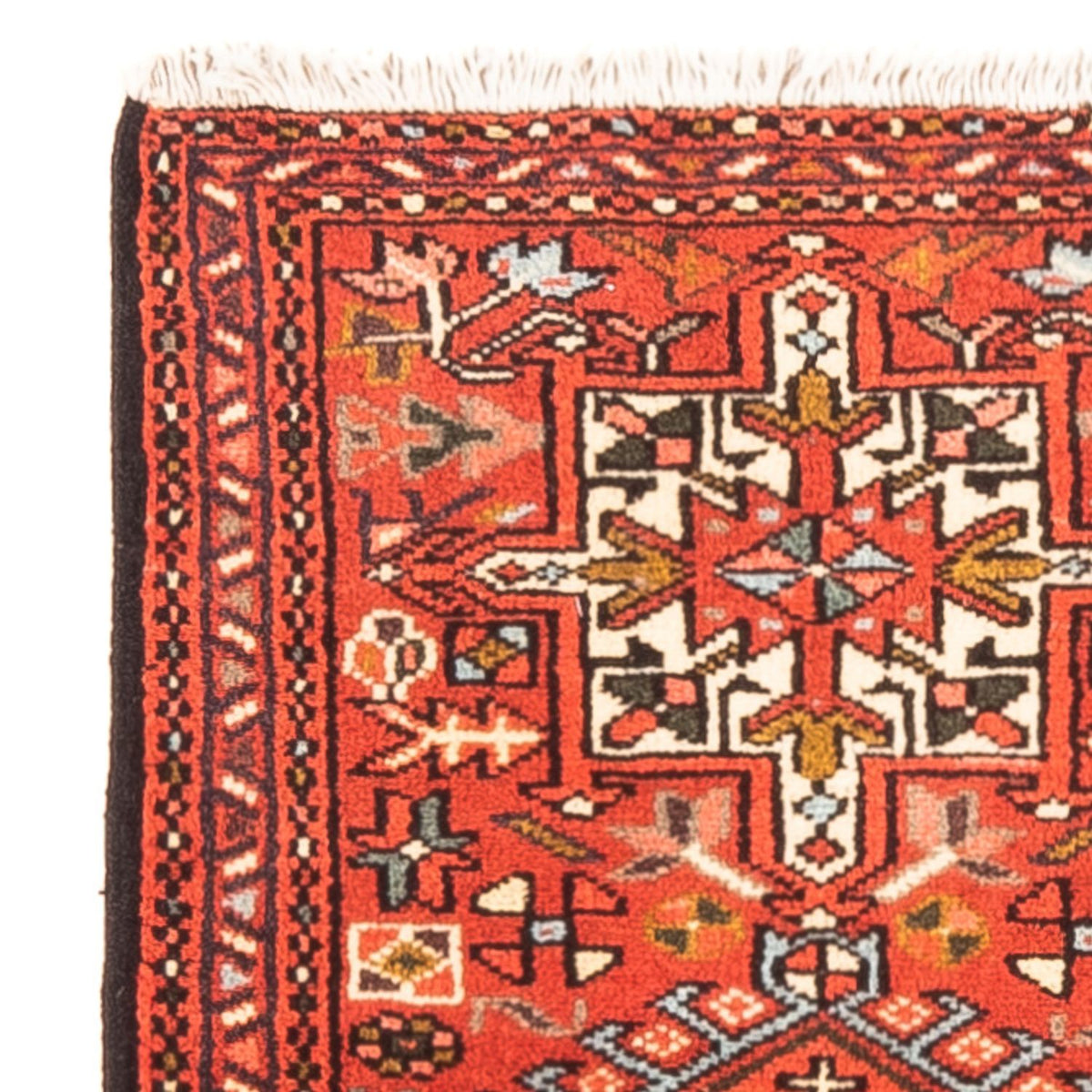 Qaraja Tapete 60x95cm - Tapete persa