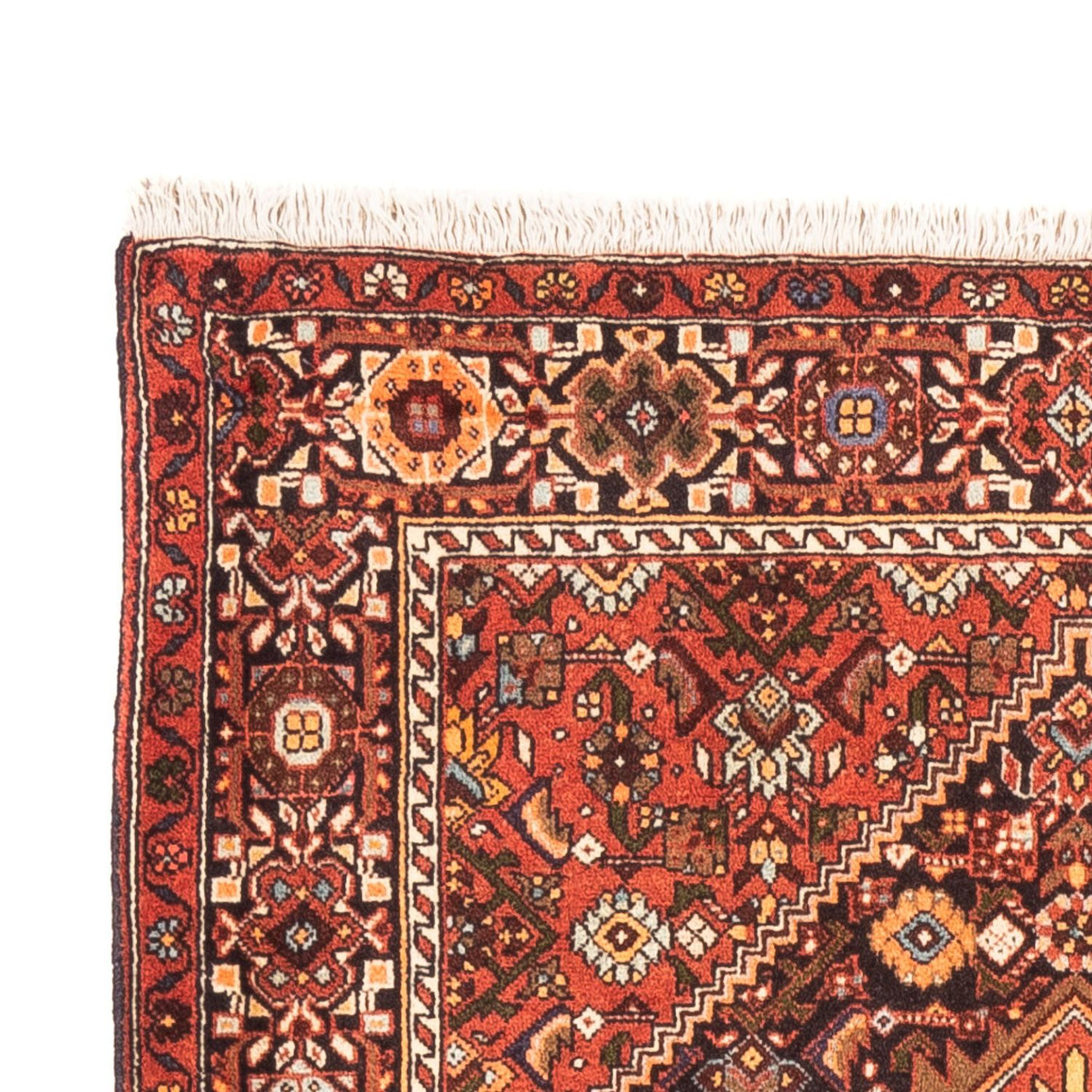 Tapete Persa - Nomadic - 152 x 100 cm - bege escuro