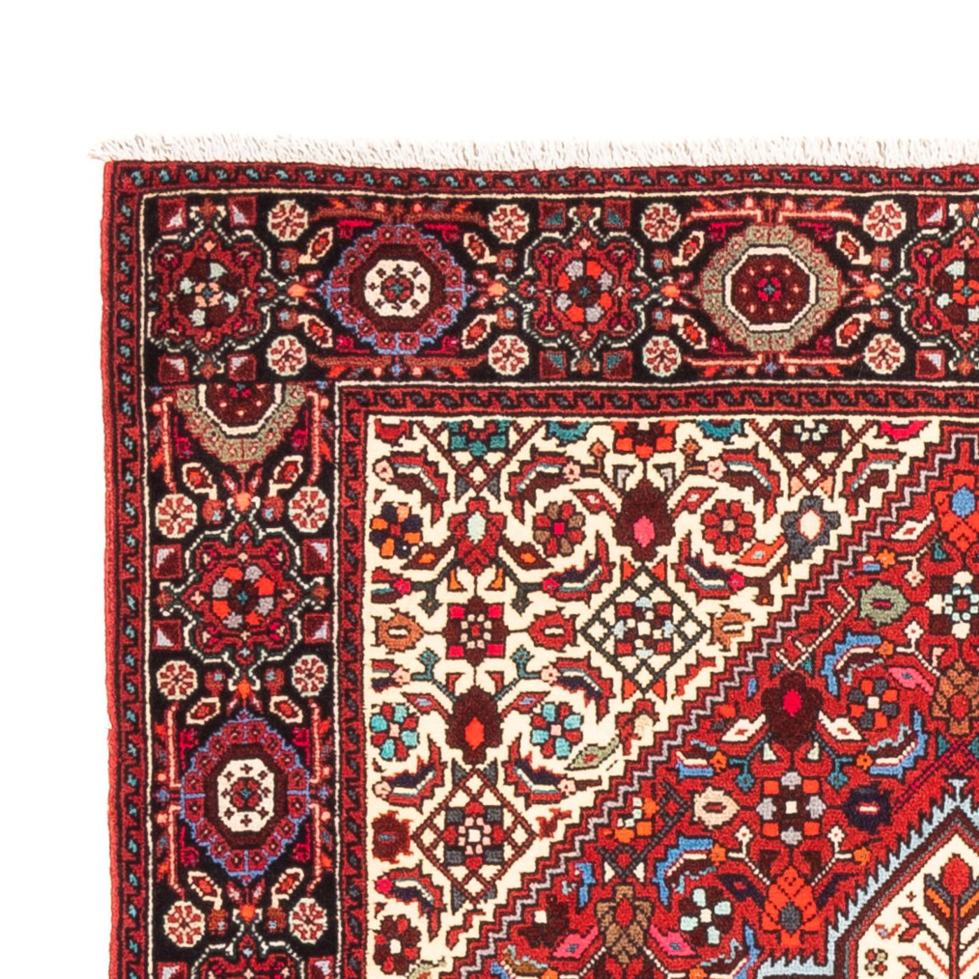 Gholtogh Tapete 153x101cm - Tapete persa