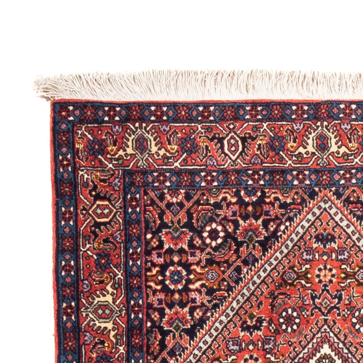 Bidjar Tapete 77x226cm - Tapete persa