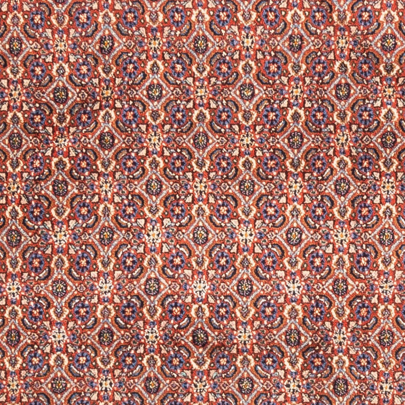 Moud Tapete 247x202cm - Tapete persa