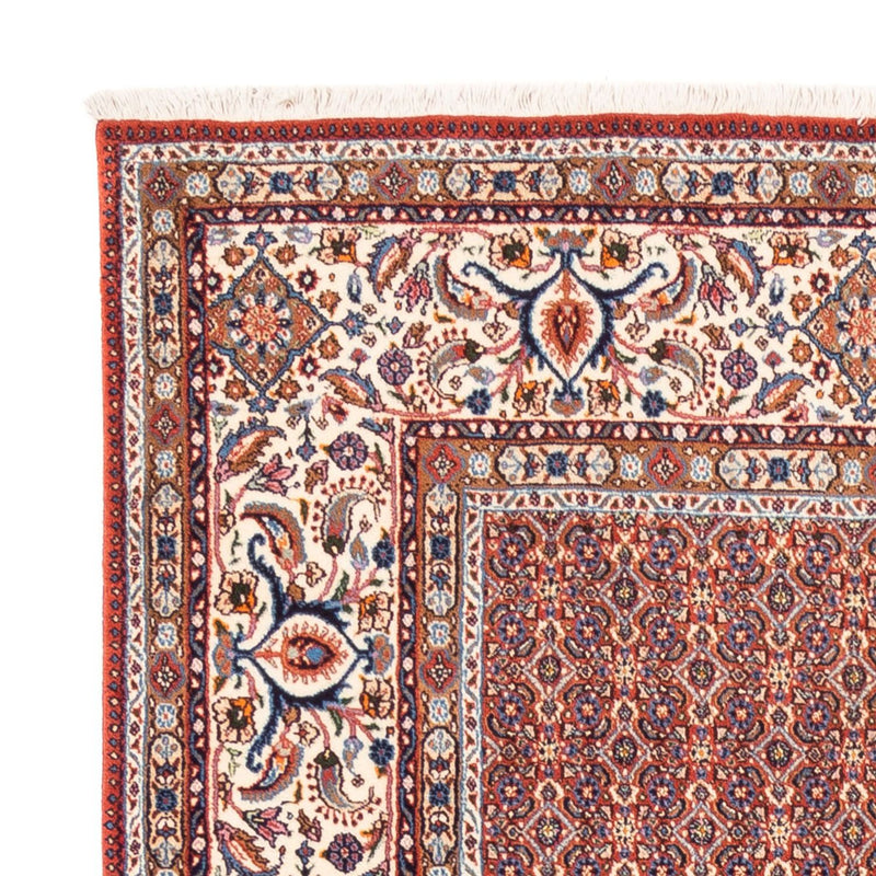 Moud Tapete 247x202cm - Tapete persa