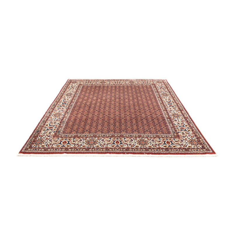 Moud Tapete 247x202cm - Tapete persa