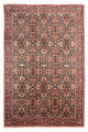 Bidjar Tapete 305x200cm - Tapete persa
