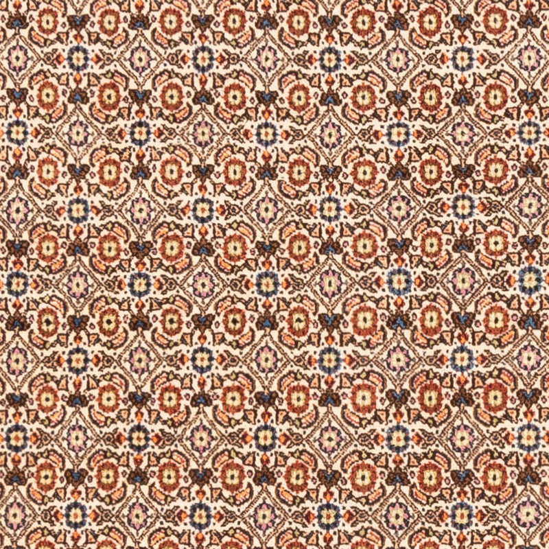 Moud Tapete 250x195cm - Tapete persa