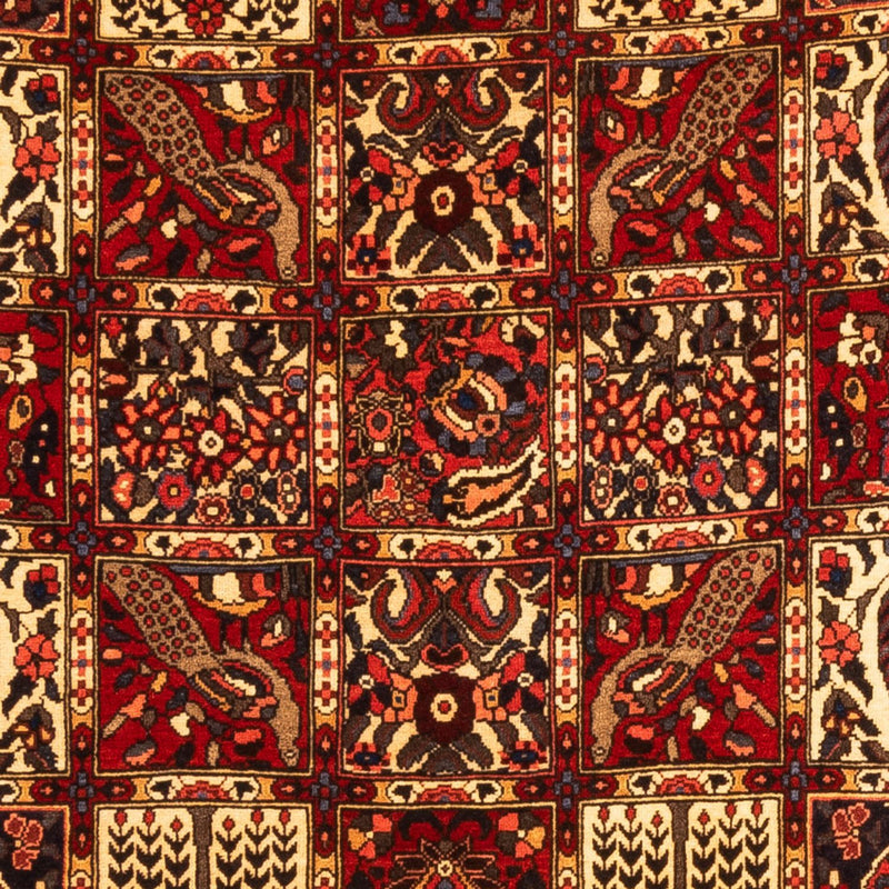 Bakhtiari Tapete 243x150cm - Tapete persa