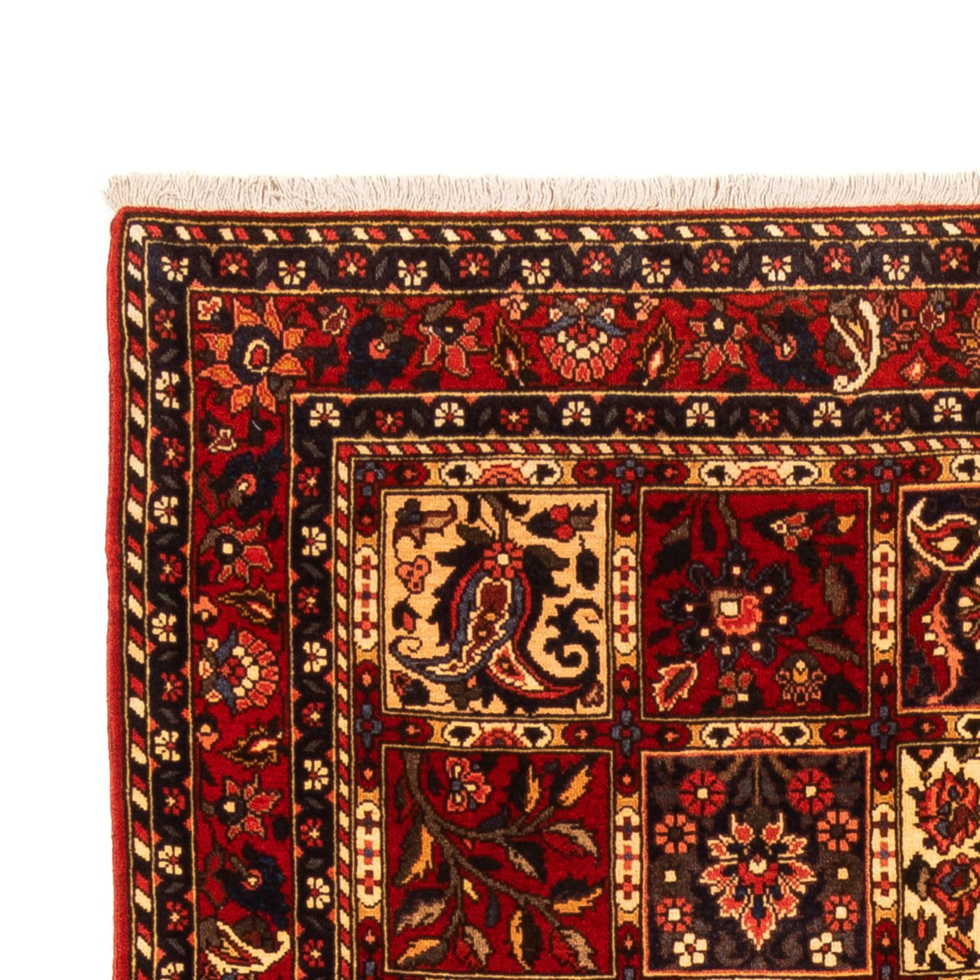Bakhtiari Tapete 243x150cm - Tapete persa