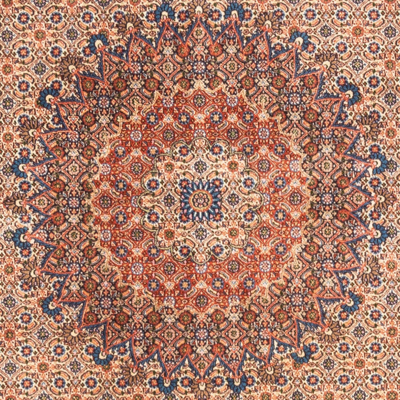 Moud Tapete 244x194cm - Tapete persa
