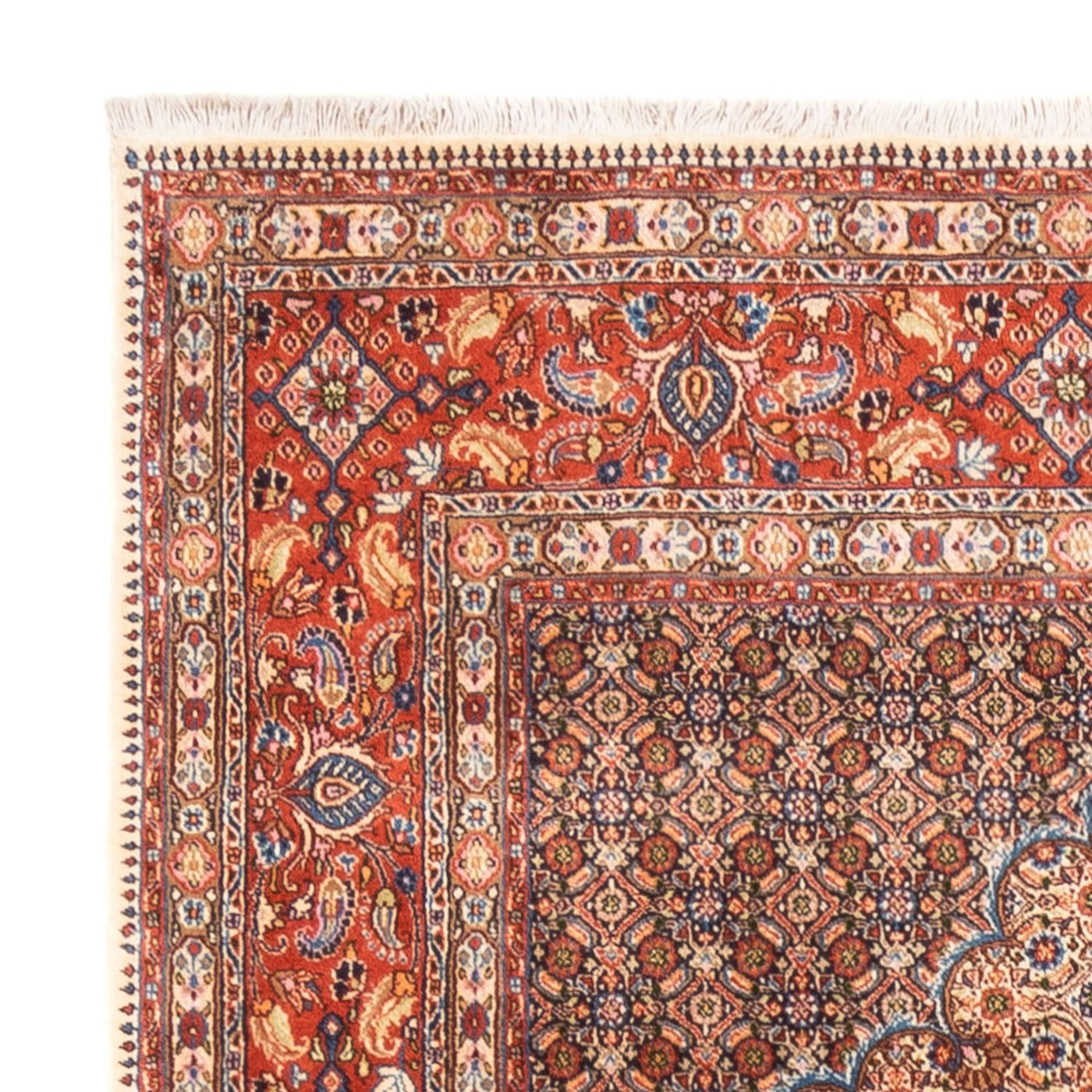 Moud Tapete 244x194cm - Tapete persa
