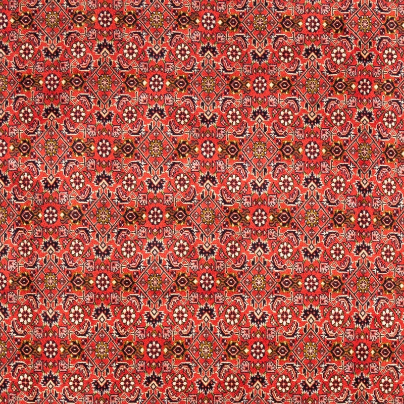 Bidjar - Bukan Tapete 242x168cm - Tapete persa