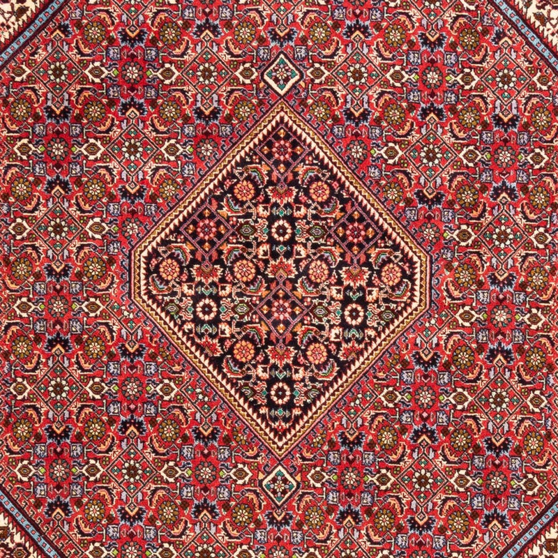 Bidjar - Bukan Tapete 171x247cm - Tapete persa - vermelho