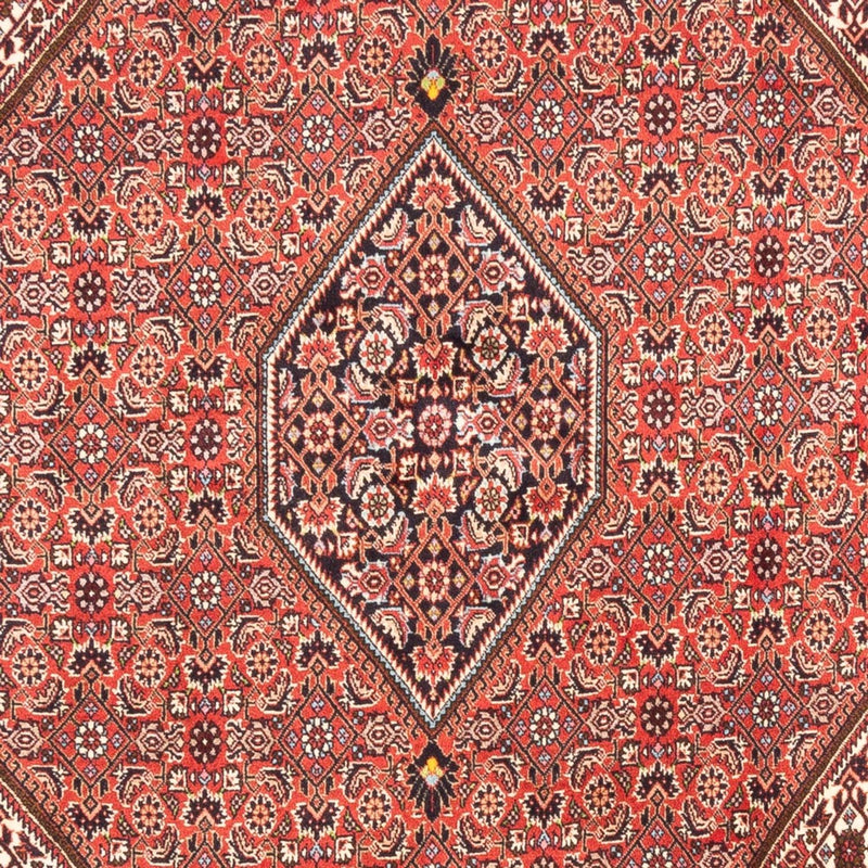 Tapete Persa - Bijar - Royal - 247 x 173 cm - vermelho