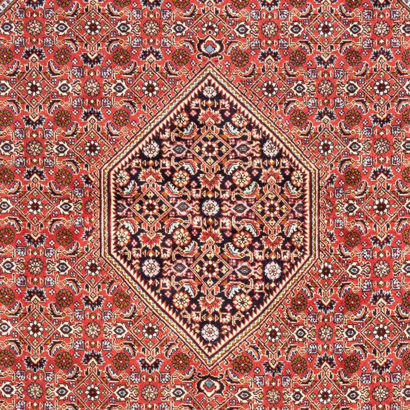Bidjar - Bukan Tapete 248x171cm - Tapete persa
