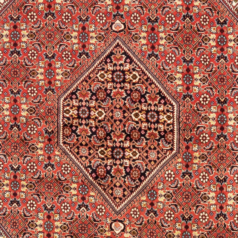 Bidjar - Bukan Tapete 246x171cm - Tapete persa