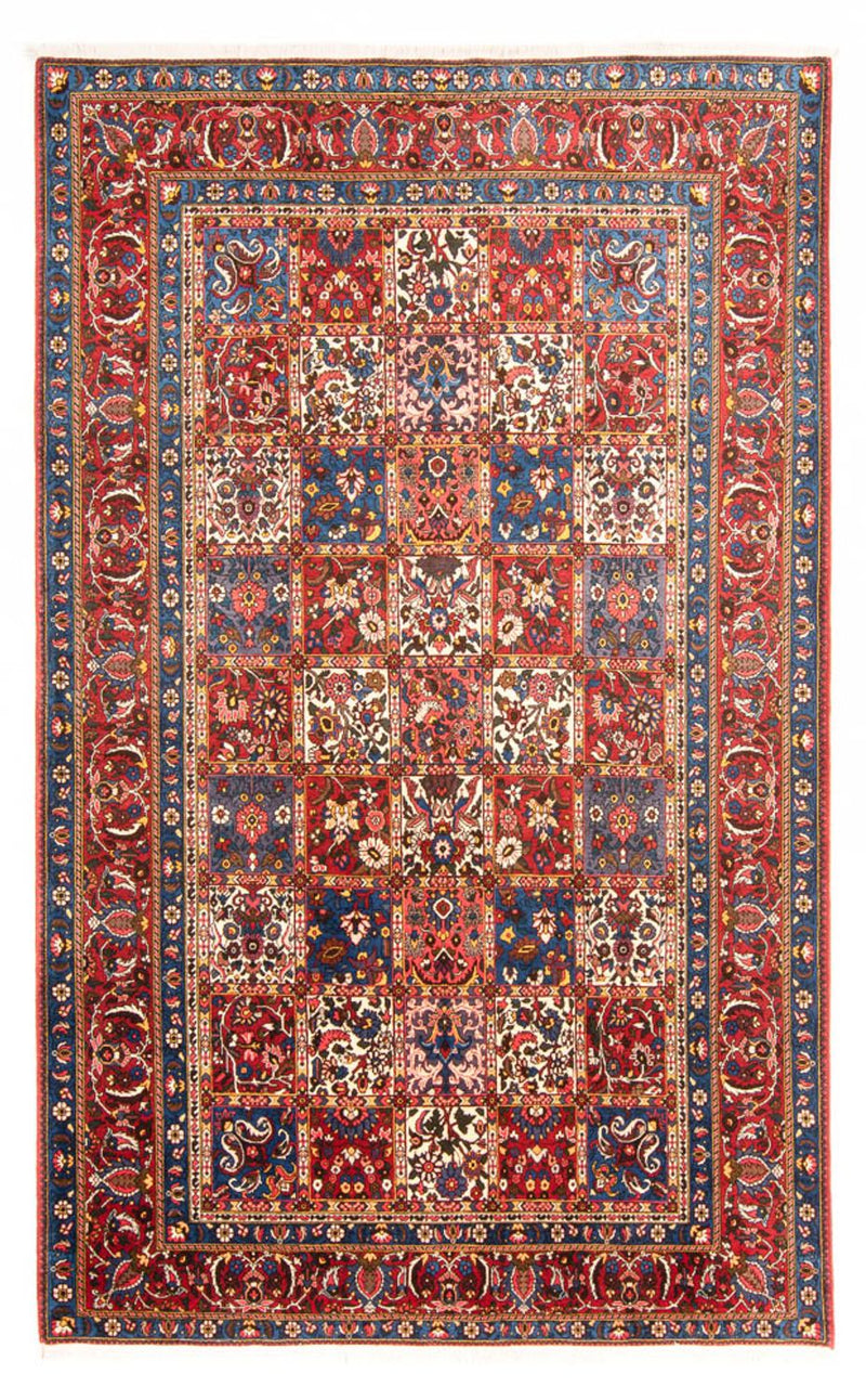 Tapete Persa - Nomadic - 315 x 202 cm - multicolorido