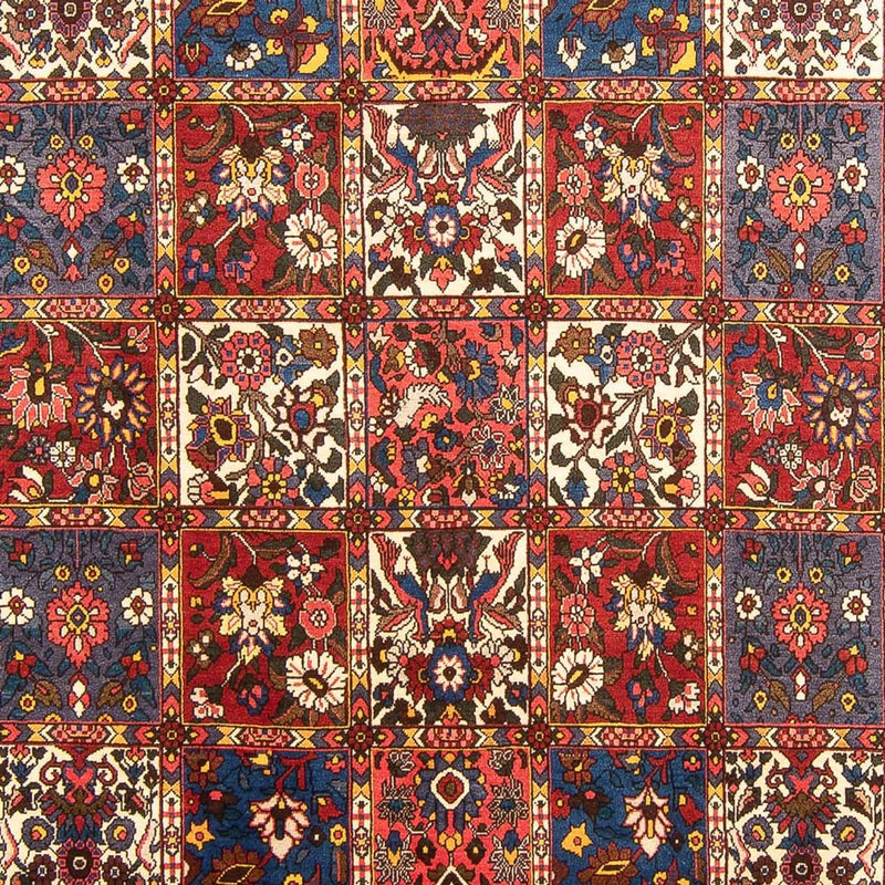 Tapete Persa - Nomadic - 315 x 202 cm - multicolorido