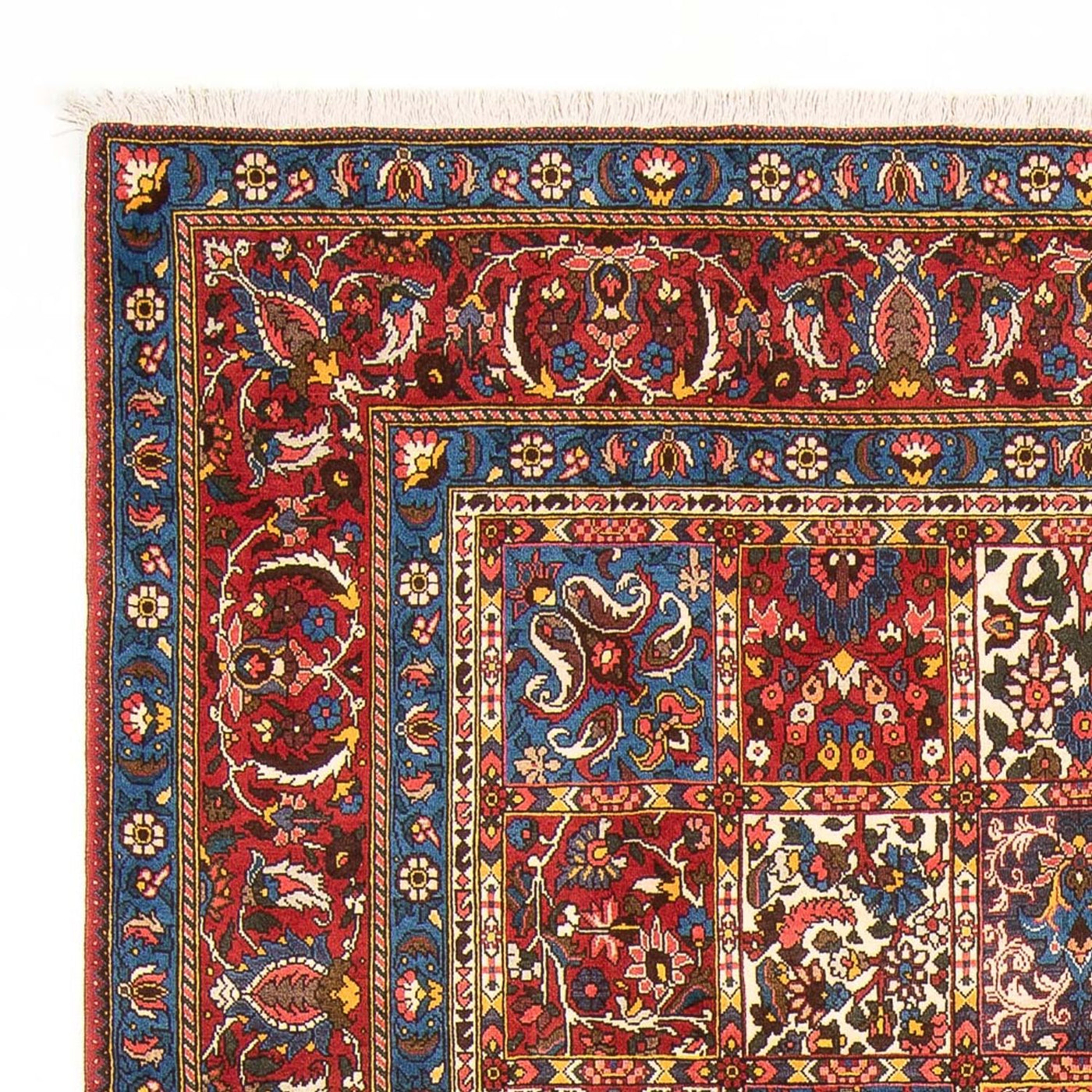 Tapete Persa - Nomadic - 315 x 202 cm - multicolorido