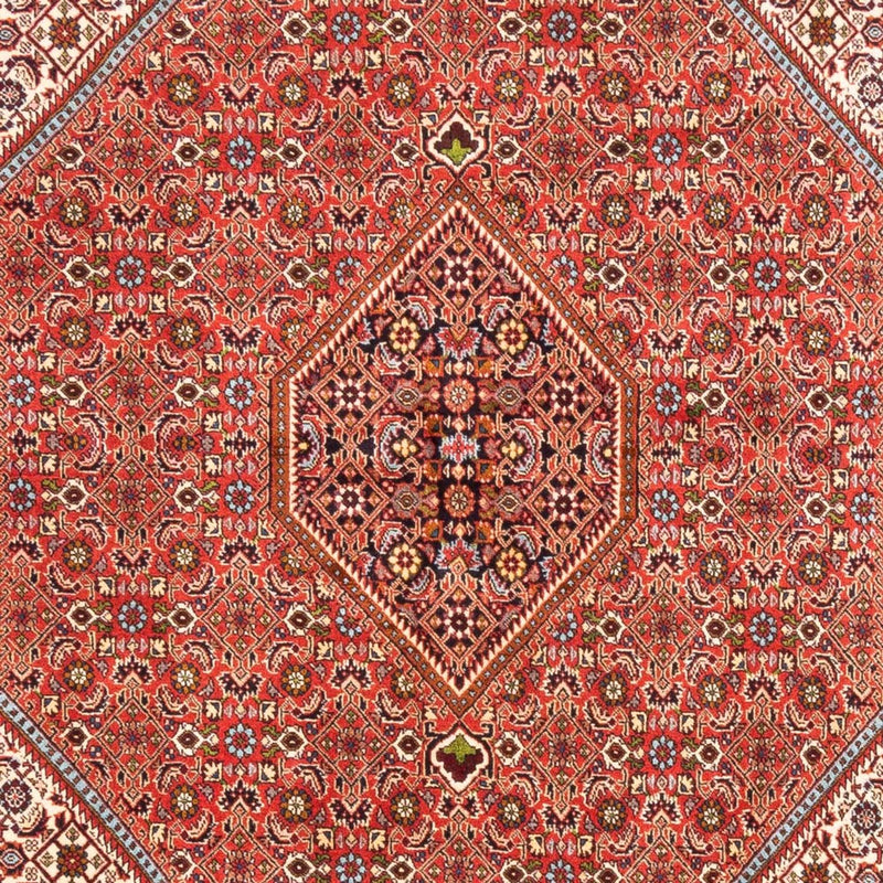 Bidjar Tapete 253x168cm - Tapete persa