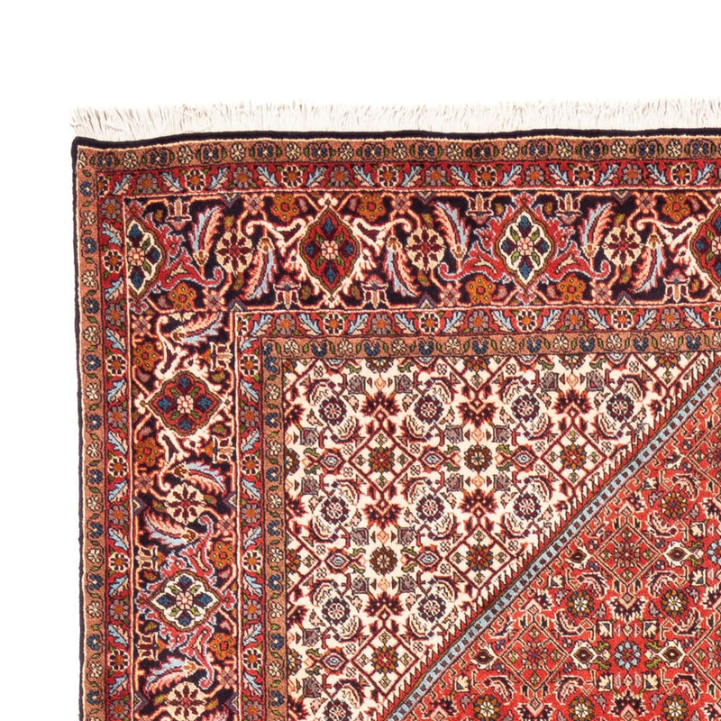 Bidjar Tapete 253x168cm - Tapete persa