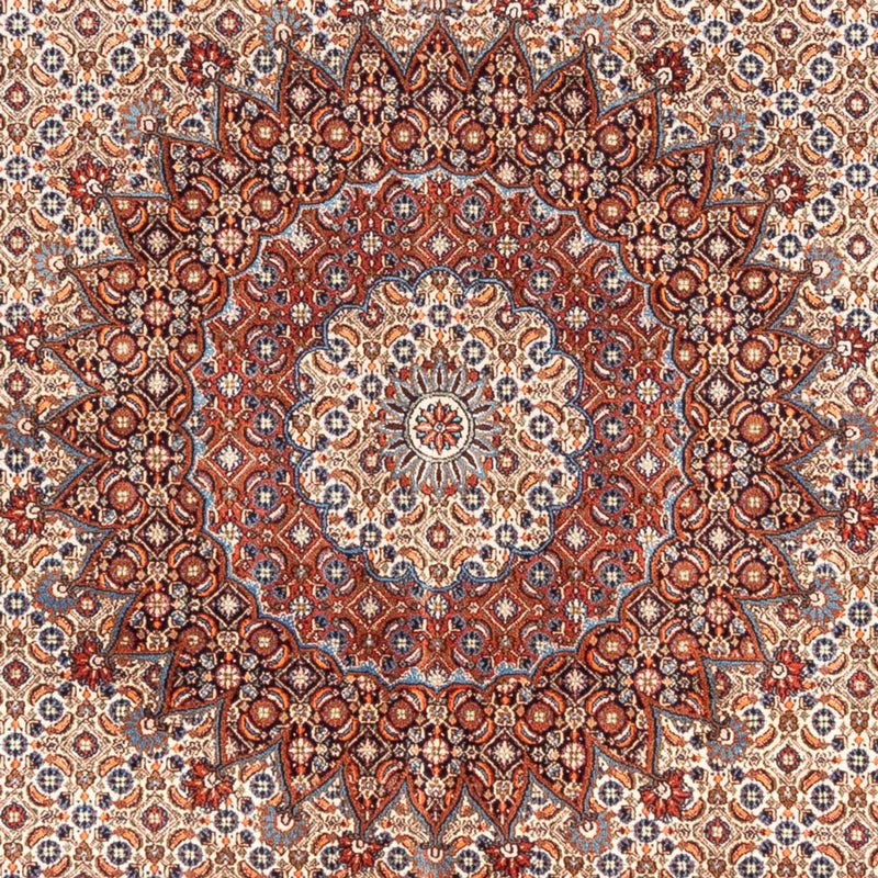Moud Tapete 290x200cm - Tapete persa
