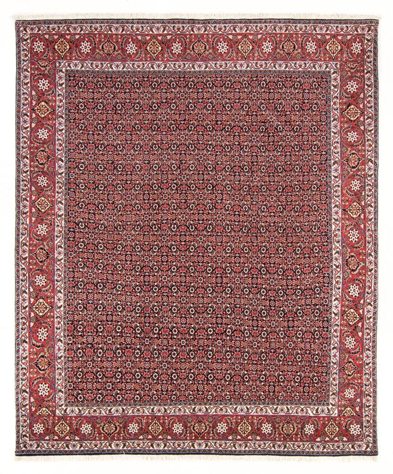 Bidjar - Takab Tapete 247x196cm - Tapete persa