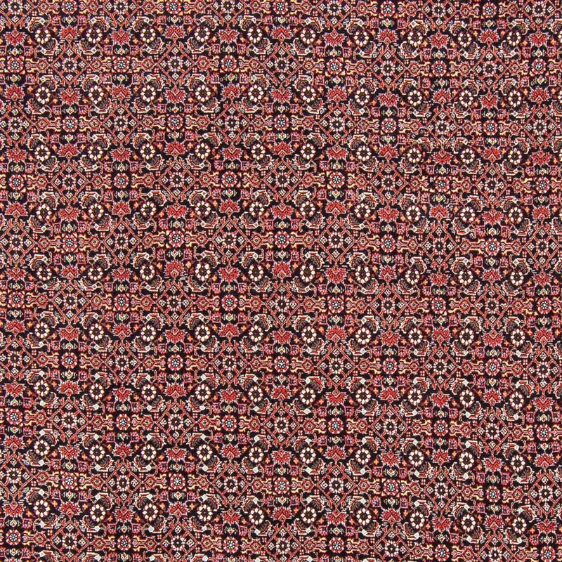 Bidjar - Takab Tapete 247x196cm - Tapete persa