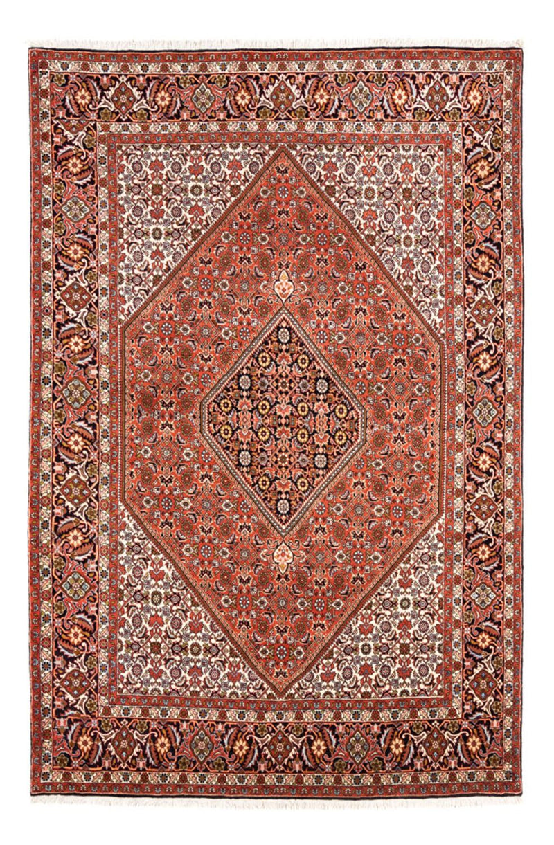 Bidjar Tapete 250x172cm - Tapete persa