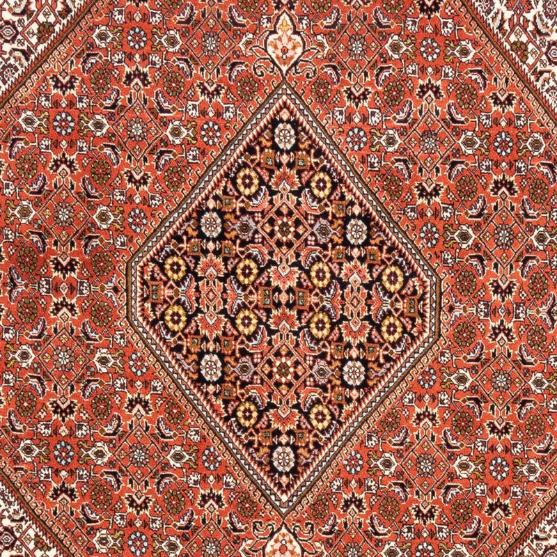 Bidjar Tapete 250x172cm - Tapete persa