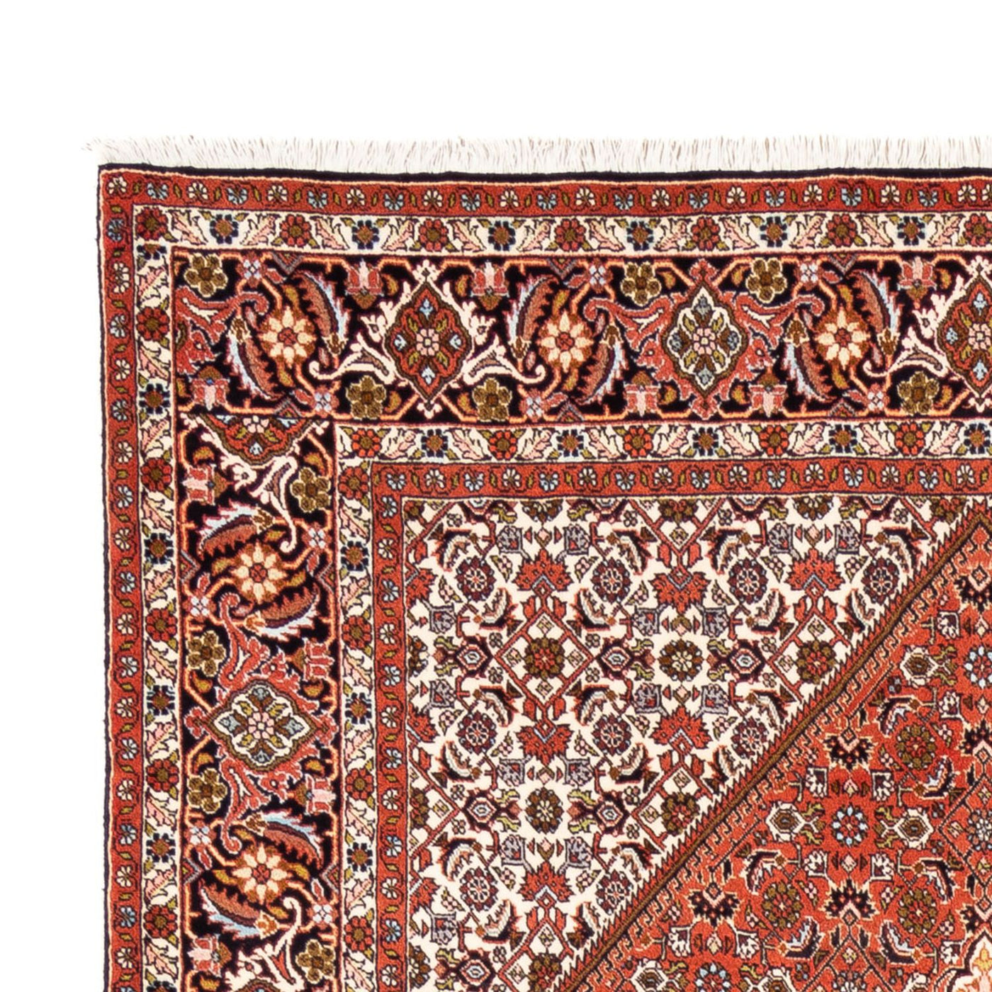 Bidjar Tapete 250x172cm - Tapete persa