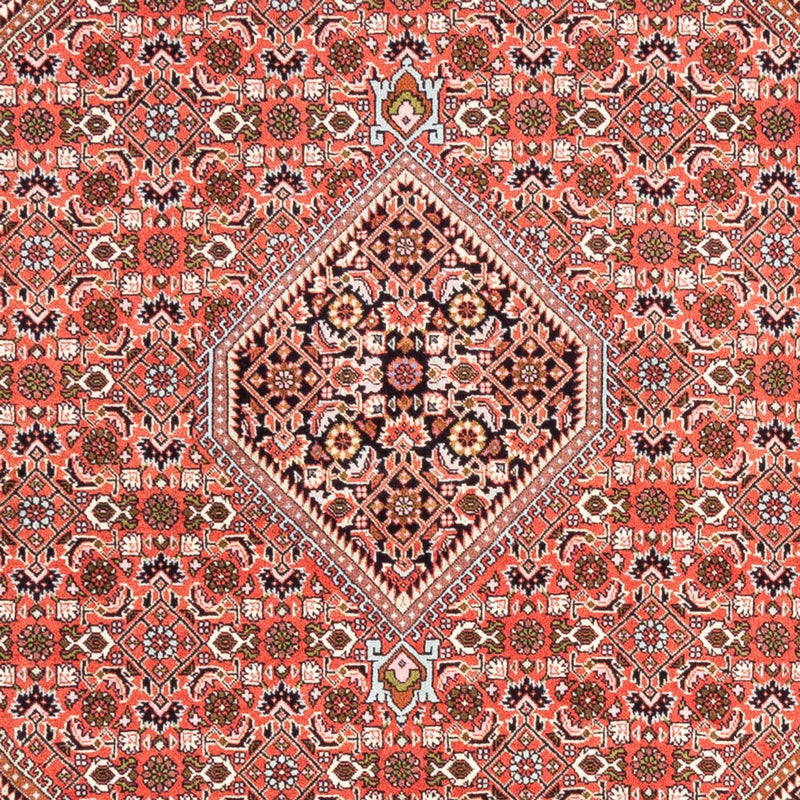 Bidjar Tapete 168x235cm - Tapete persa