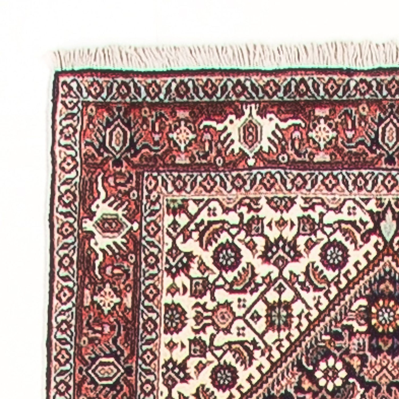 Bidjar Teppich  - Perserteppich
