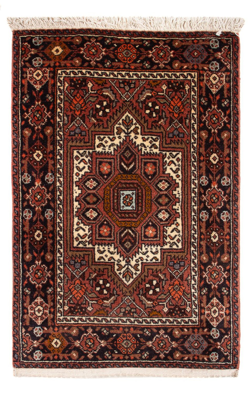 Gholtogh Tapete 60x40cm - Tapete persa
