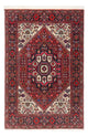 Gholtogh Tapete 73x119cm - Tapete persa