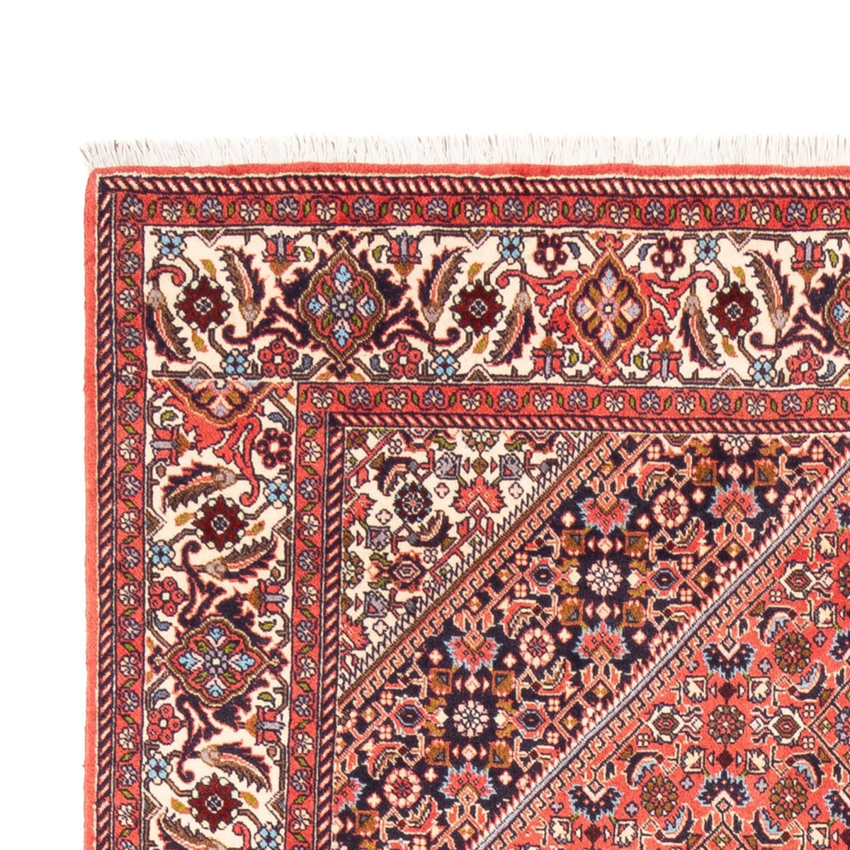 Bidjar Tapete 170x242cm - Tapete persa