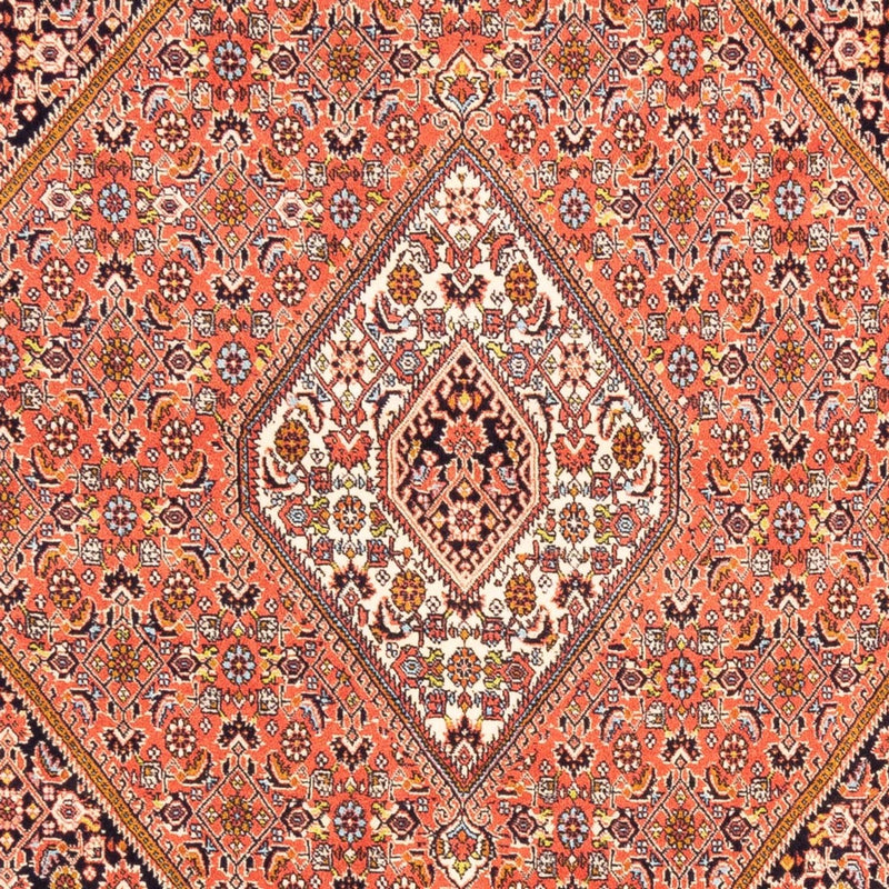 Bidjar Tapete 170x241cm - Tapete persa