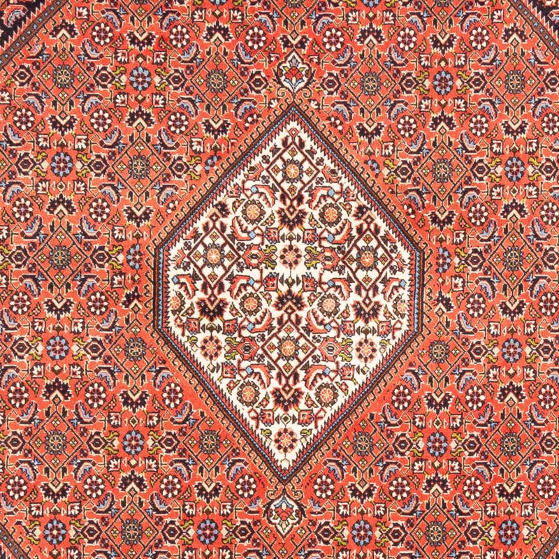 Bidjar Tapete 240x173cm - Tapete persa