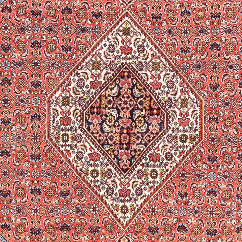 Bidjar Tapete 243x170cm - Tapete persa
