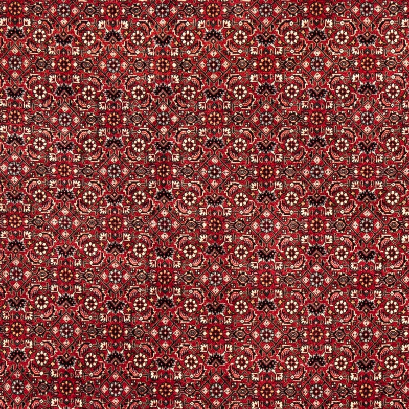 Bidjar Tapete 238x178cm - Tapete persa