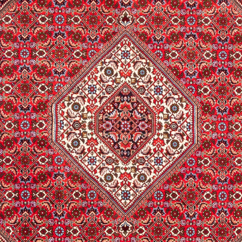 Bidjar Tapete 253x170cm - Tapete persa