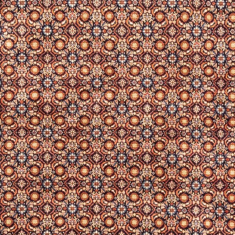 Moud Tapete 246x193cm - Tapete persa
