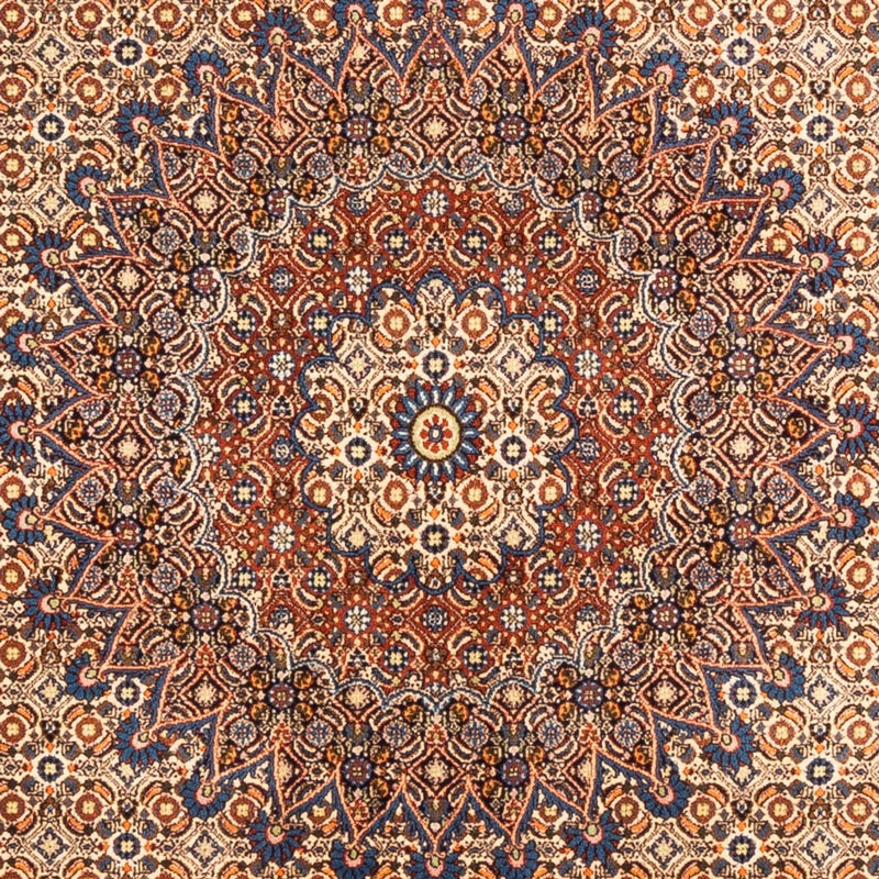 Moud Tapete 296x196cm - Tapete persa
