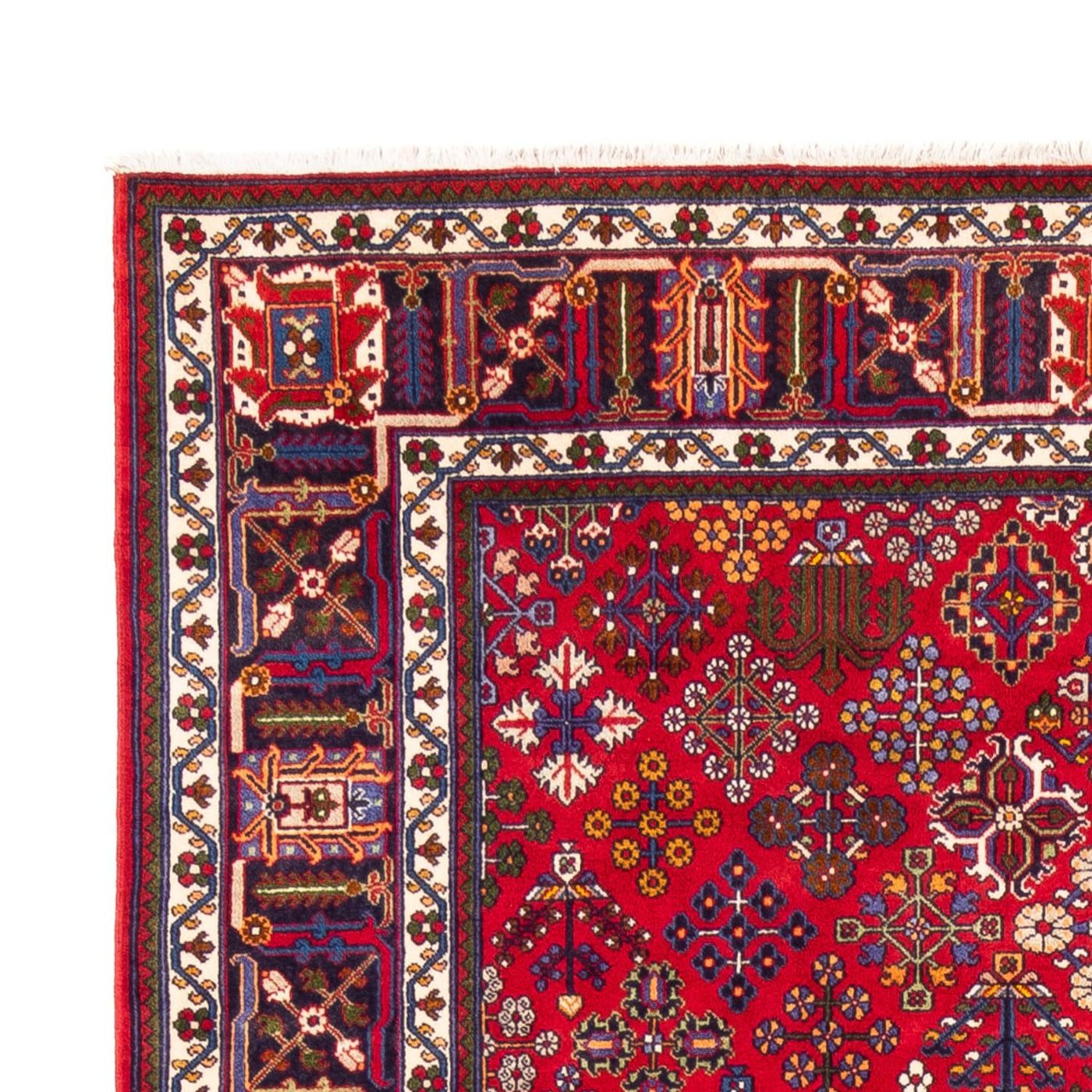 Sarouk Tapete 258x168cm - Tapete persa