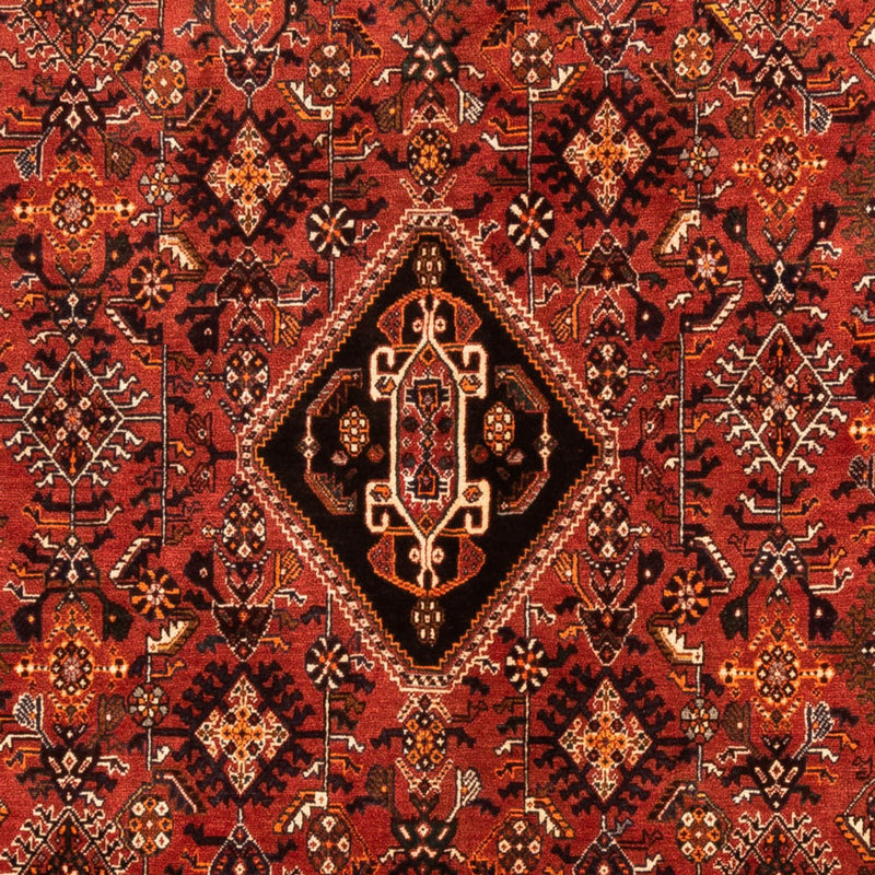 Qashqai Tapete 252x167cm - Tapete persa