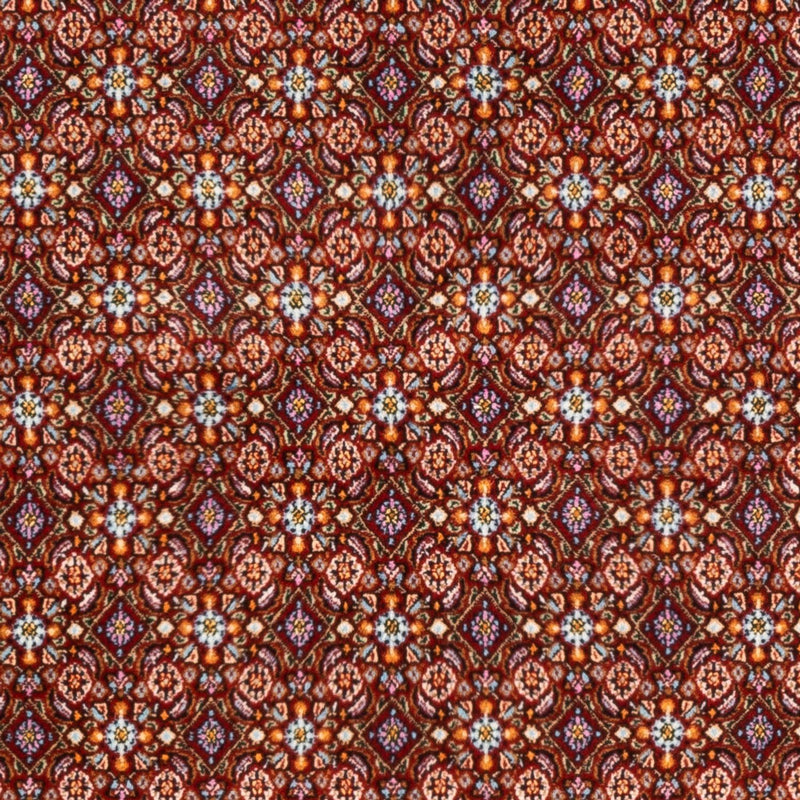 Moud Tapete 245x165cm - Tapete persa