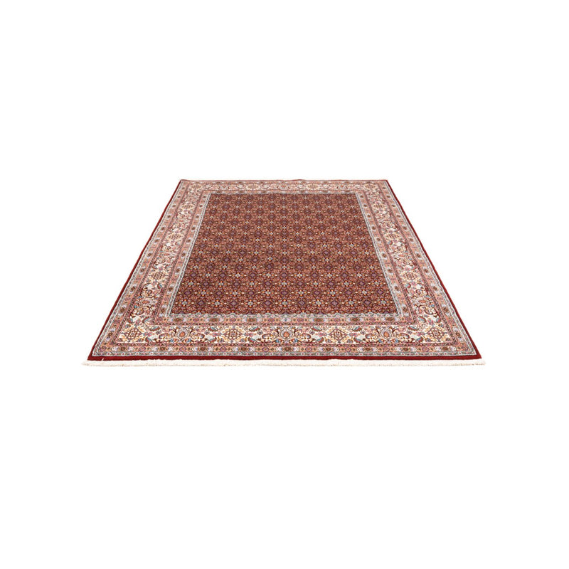 Moud Tapete 245x165cm - Tapete persa
