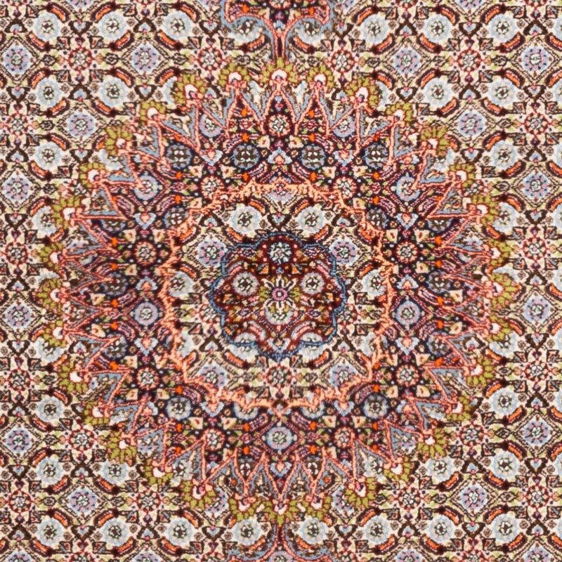Moud Tapete 232x159cm - Tapete persa