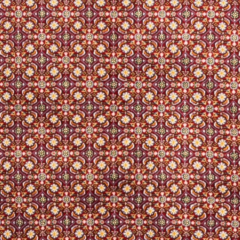 Moud Tapete 189x140cm - Tapete persa