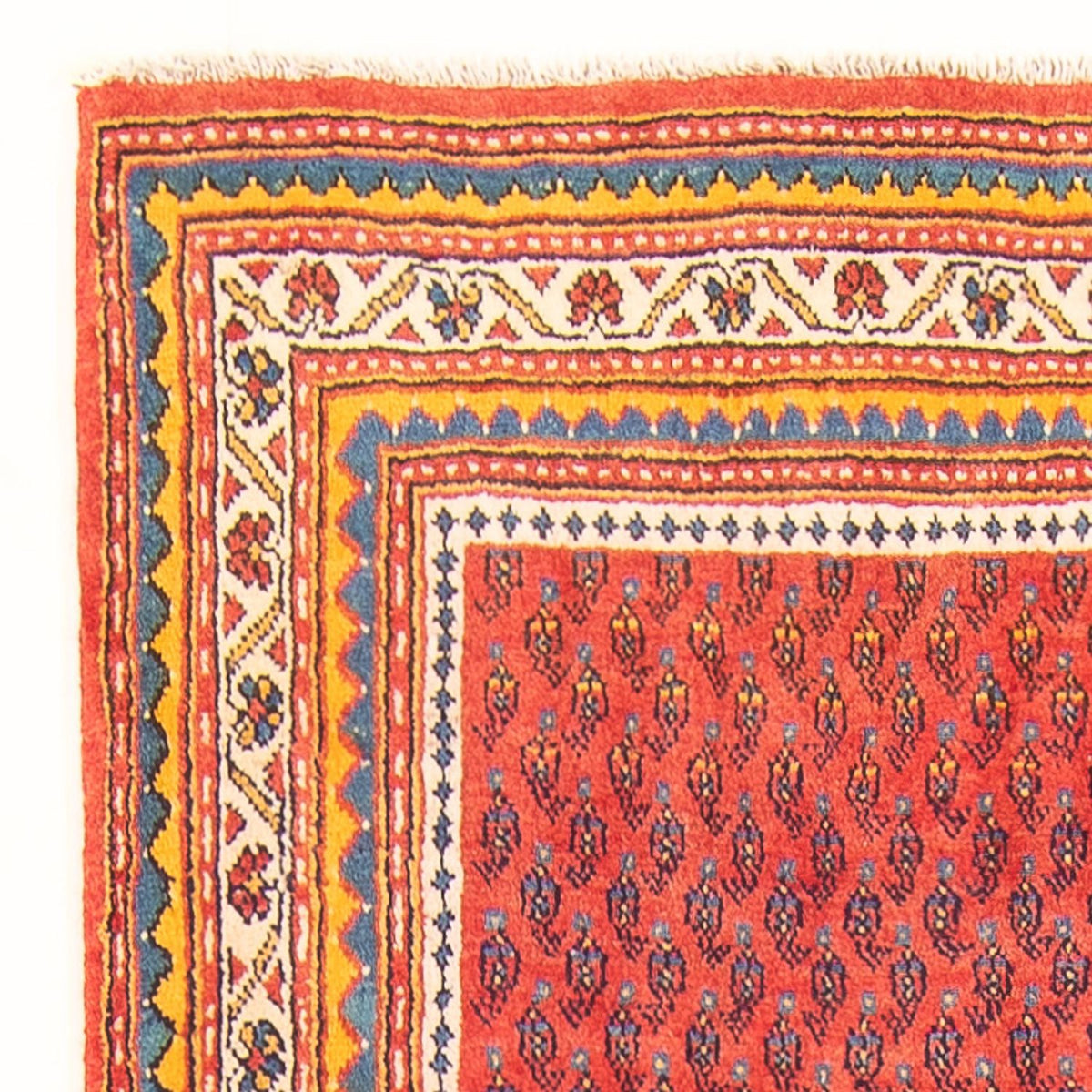 Sarouk Tapete 118x328cm - Tapete persa